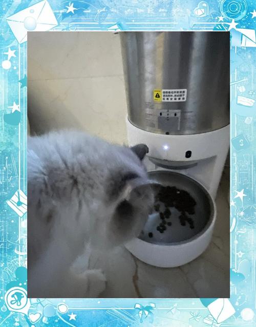 小猫AI智能写作软件怎么样？实用、智能，助力写作新体验
