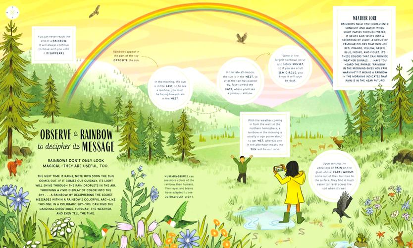 随机生成,探索自然奥秘,AI写作引领未来—我与Nature的一堂AI写作课