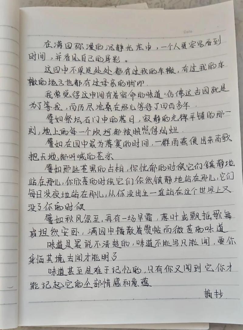 寻亲之路，老师眼中的开题探索之旅