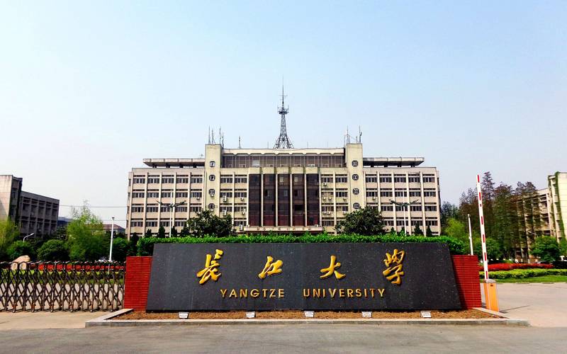 长江大学泵研究，开启学术新篇章—从开题报告到技术革新的探索之旅
