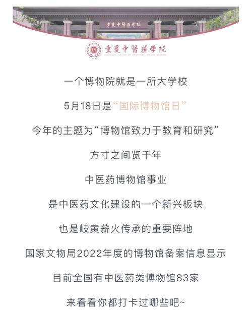 中医毕业论文B站，深挖中医智慧，传承千年文化精粹