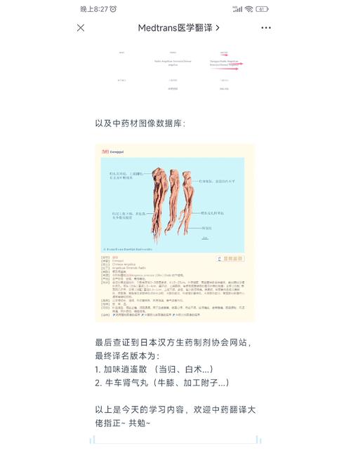 中药专升本毕业论文，一路升级，探寻中药奥秘之旅